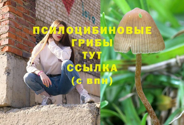 а пвп мука Вяземский